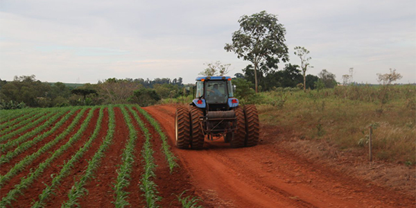 The Land of the Future, Industry Today