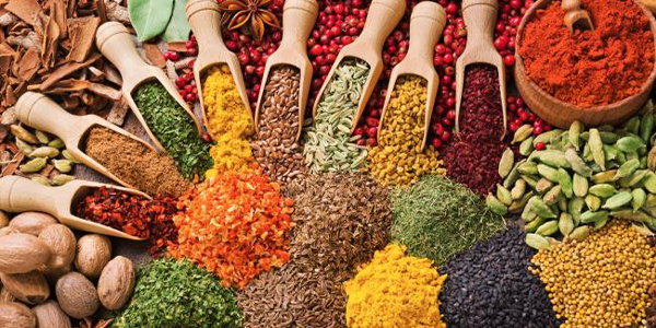 Spicy Appetites, Industry Today