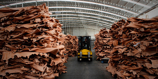 Worldwide Leather, Industry Today