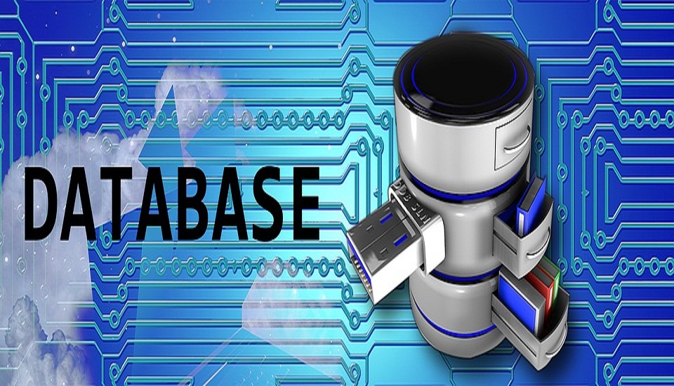 Adding Value Through Databases, Industry Today