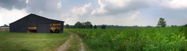 kentucky tobacoo barn