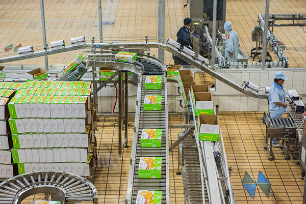 Dairy Products Being Packaged At Mengnius Factory MAR 1450 Mengniu Image01, Industry Today