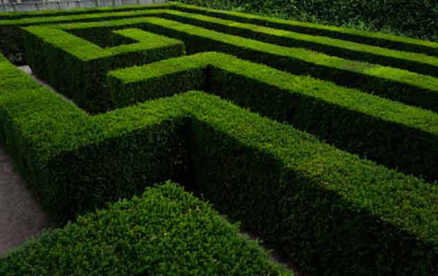 Through Channel Marketing Can Provide A Map For Selling Maze, Industry Today