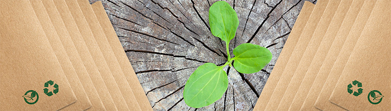 Screen Shot 2022 10 24 At 4.58.01 PM, Industry Today