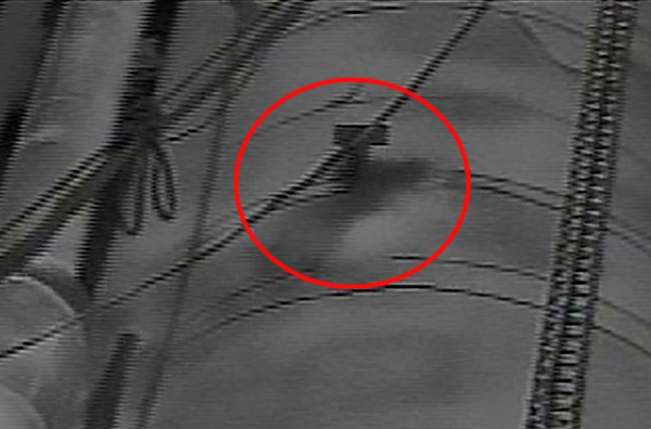 Cog50mleak, Industry Today