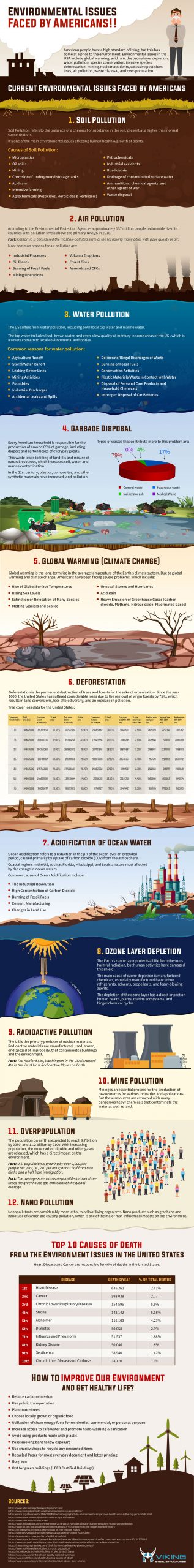 environmental issues faced by americans infographic