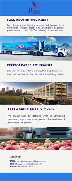 peace transportation food shipments infographic
