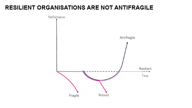 Resilient organizations are not antifragile.