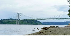 Speculation as to whether the collapse of the Tacoma Bridge bridge was caused by fluttering or resonance.