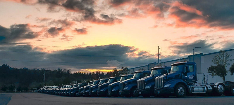 pacific cascade trucks sunset