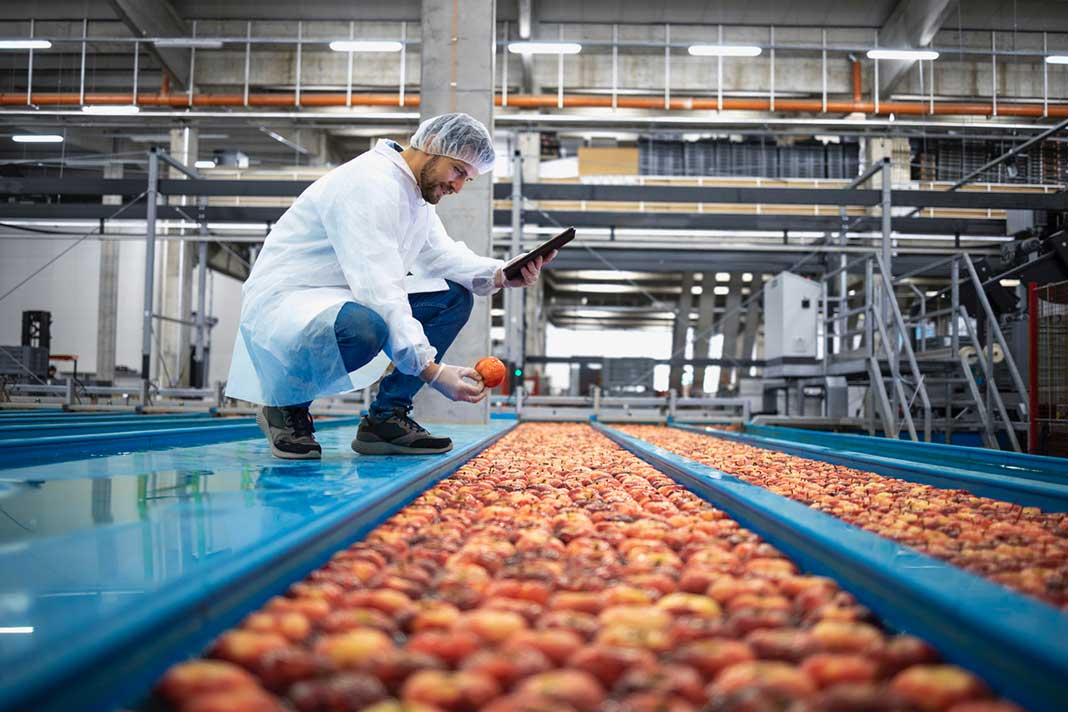 food-manufacturing-industry