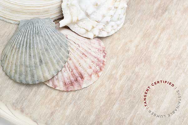 tangent technologies woodgraing with seashells