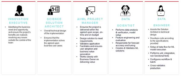 Figure 2: Common minimal recommended roles for in-house data solutions team