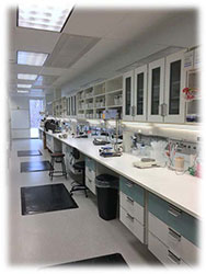 cosmetics application laboratory
