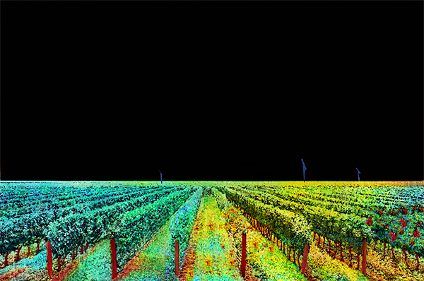 Reconstruction of IRIDESENSE Multispectral Lidar Point Cloud with healthy vine plants on the left and unhealthy one on the right