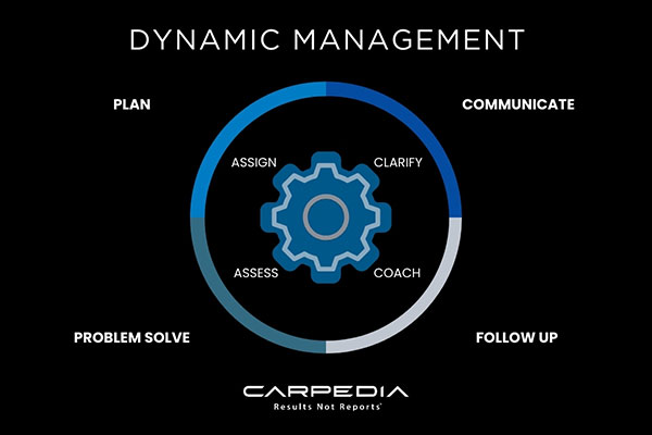 dynamic management infographic