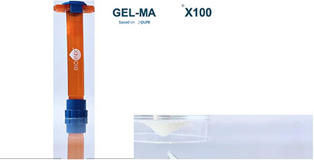 X-Pure based GEL-MA INX X100, the first GMP-like ready-to-use gelatin-based bio ink offered by BIO INX