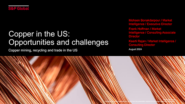 s&p copper in the us report