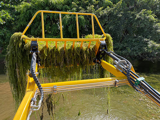 milfoil removal