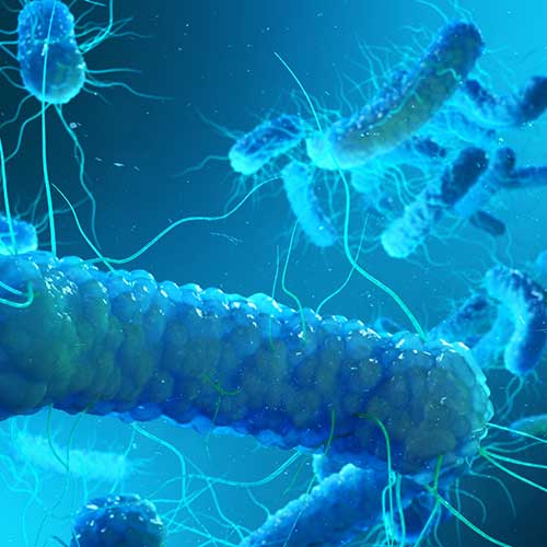 legionnaire's disease