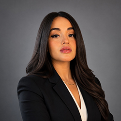 luz maritza sanchez grupo ortiz